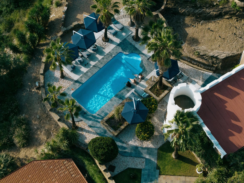 Garden and Pool