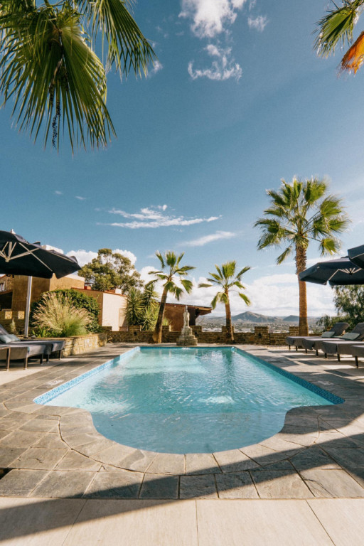 Garden and Pool